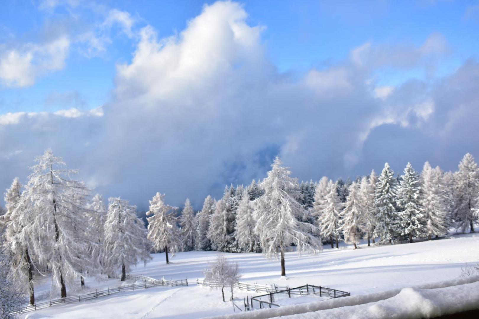 Gasthof Schmiederalm Алдіно Екстер'єр фото